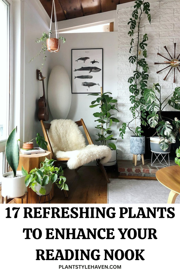 17 Refreshing Plants to Enhance Your Reading Nook