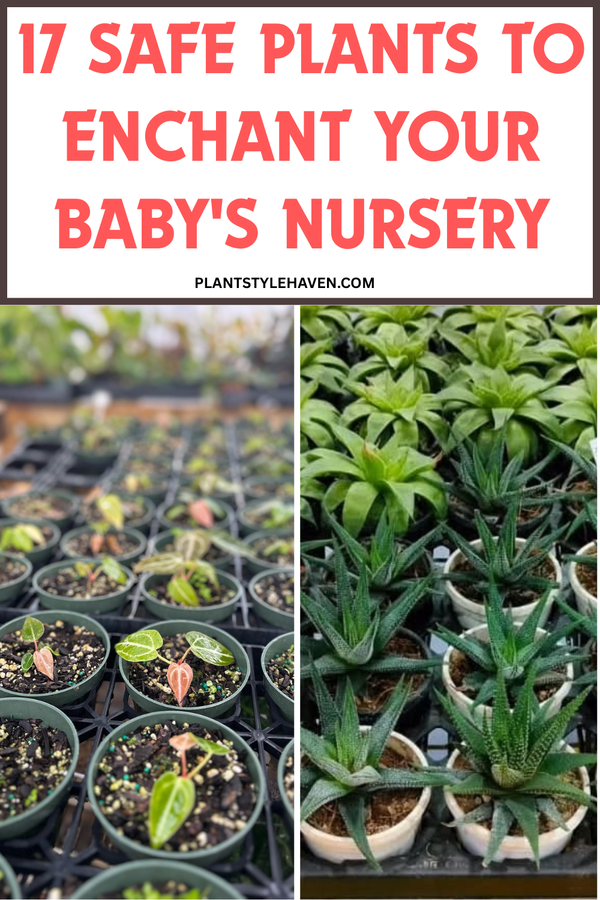 17 Safe Plants to Enchant Your Baby's Nursery