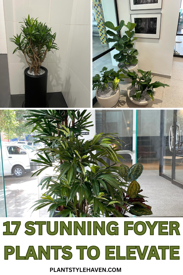 17 Stunning Foyer Plants to Elevate Your Home's Entrance