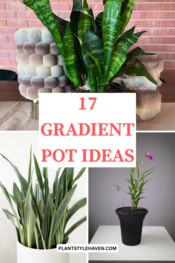 17 Stunning Gradient Pot Ideas to Brighten Your Space