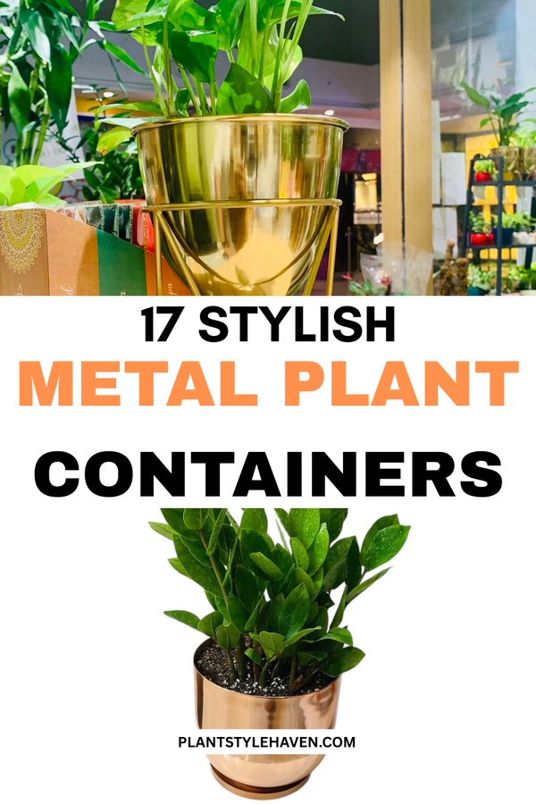 17 Stylish Metal Plant Containers for Your Home