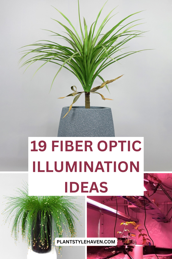 19 Creative Fiber Optic Illumination Ideas for Plants