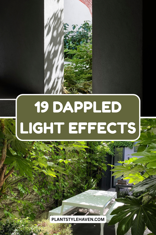 19 Creative Techniques for Stunning Dappled Light Effects