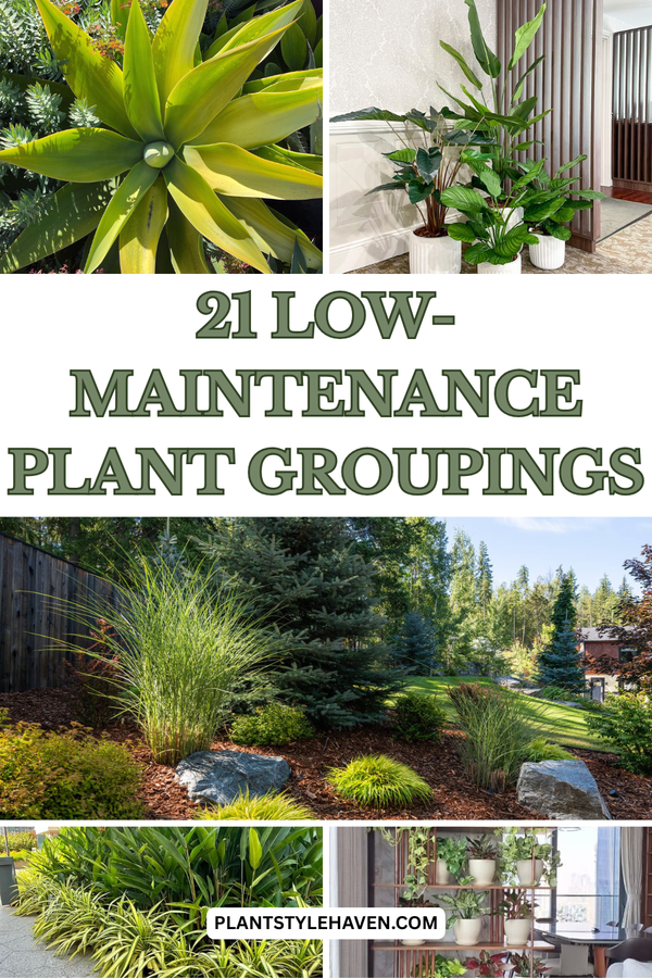 21 Low-Maintenance Plant Groupings for Your Home