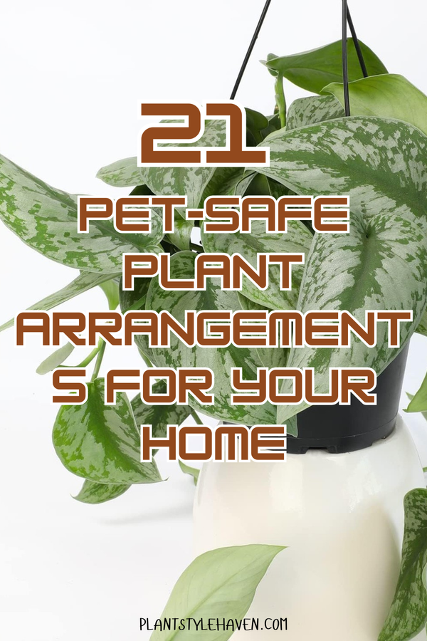 21 Pet-Safe Plant Arrangements for Your Home