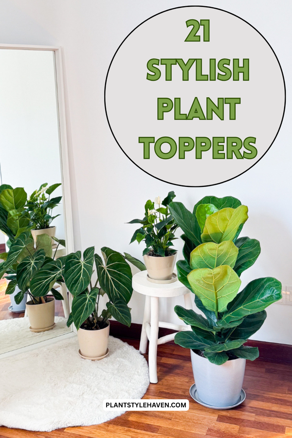 21 Stylish Plant Toppers for Your Storage Cabinets