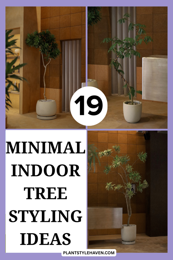 19 Creative Minimal Indoor Tree Styling Ideas
