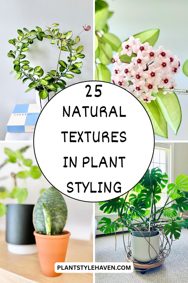 25 Creative Ways to Use Natural Textures in Plant Styling
