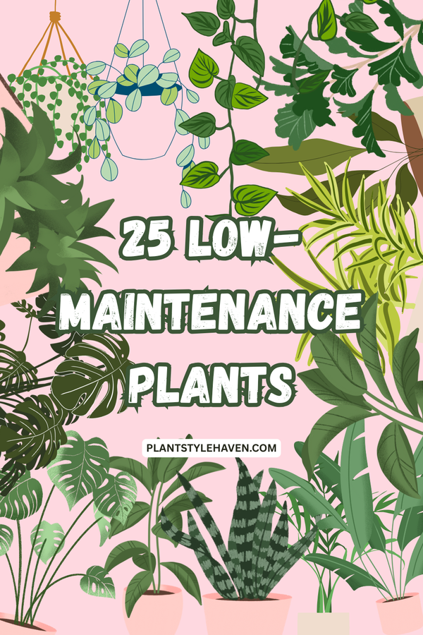 25 Low-Maintenance Plants for Effortless Elegance