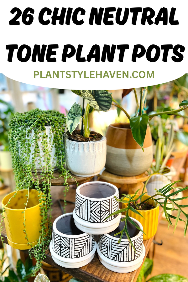 26 Chic Neutral Tone Plant Pots to Elevate Your Home