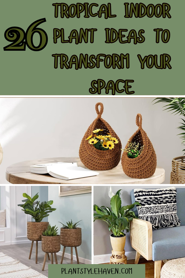 26 Tropical Indoor Plant Ideas to Transform Your Space