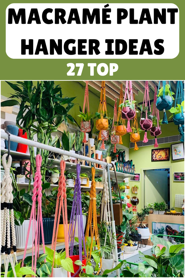 27 Creative Macramé Plant Hanger Styling Ideas