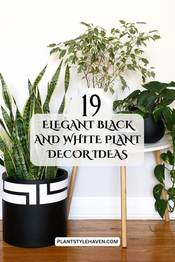Elegant Black and White Plant Decor Ideas