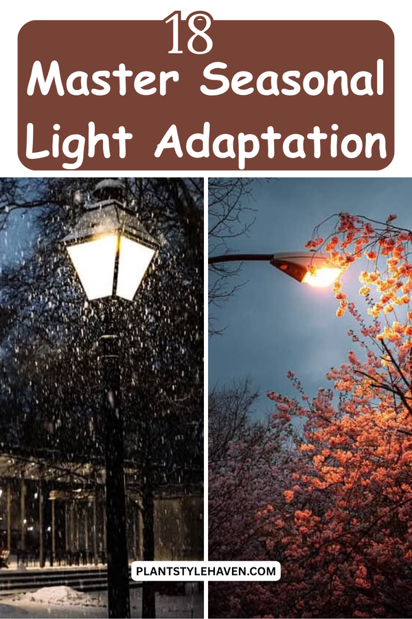Master Seasonal Light Adaptation in 18 Easy Ways