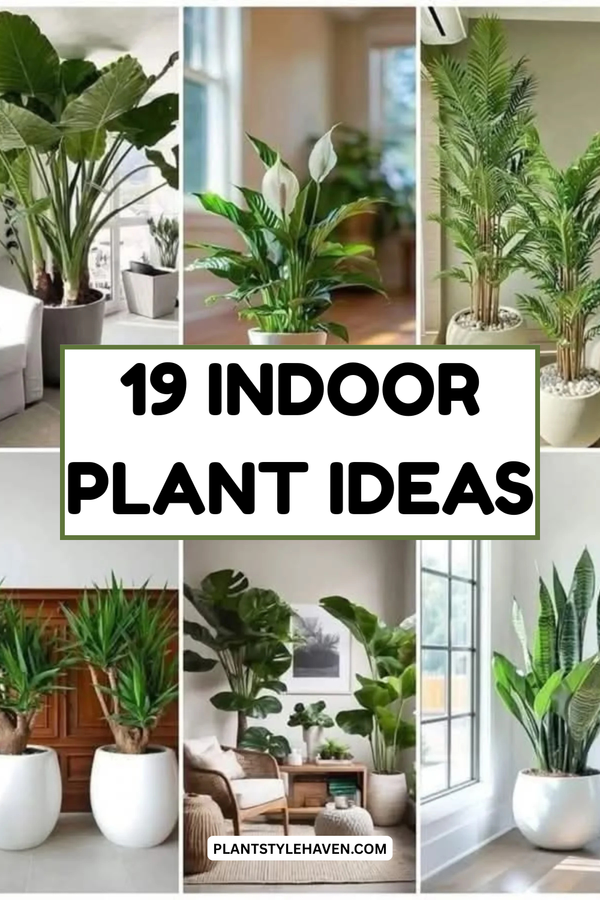 Scandinavian Indoor Plant Ideas: Transform Your Space