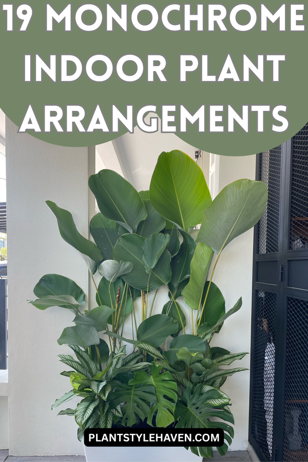 Stunning Monochrome Indoor Plant Arrangements