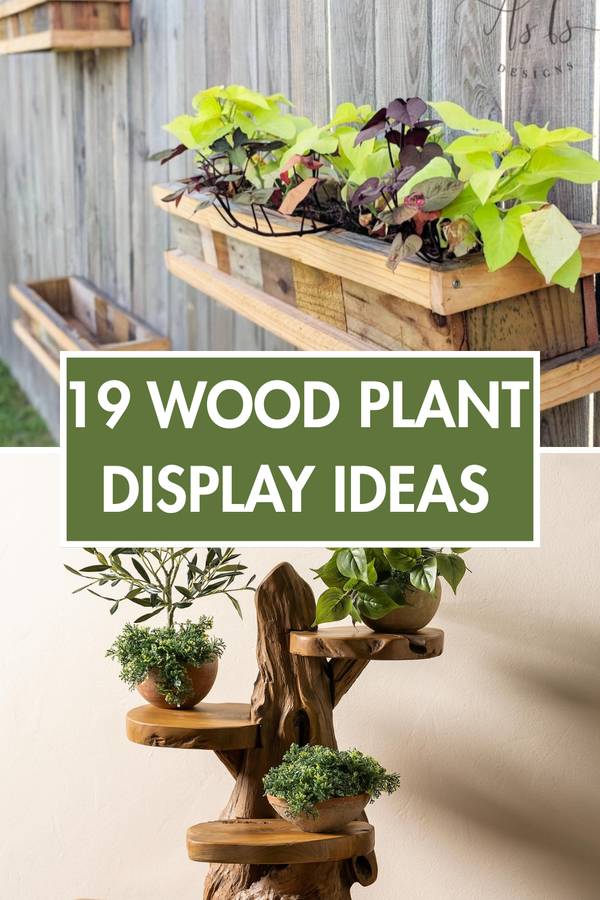 Stunning Reclaimed Wood Plant Display Ideas