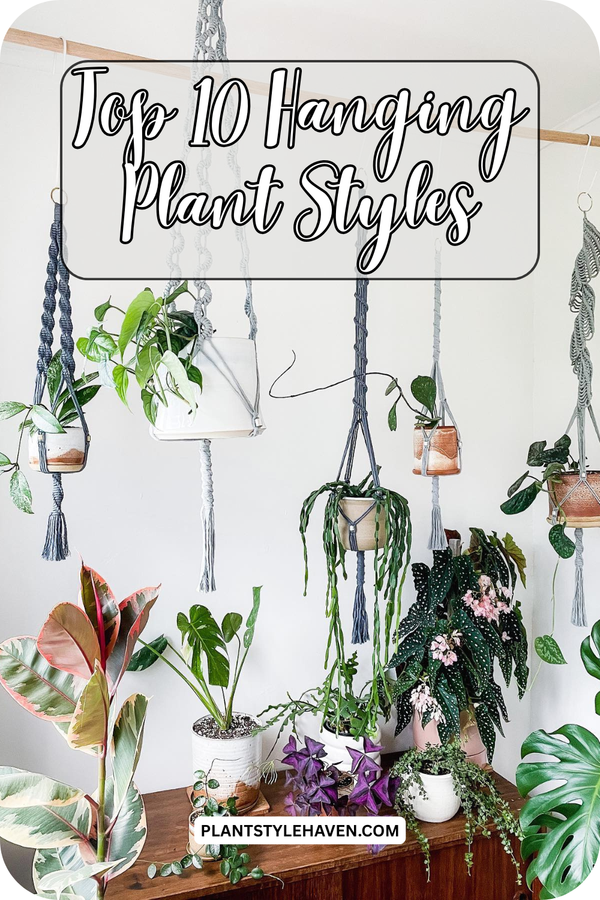 Transform Your Home: Top 10 Hanging Plant Styles