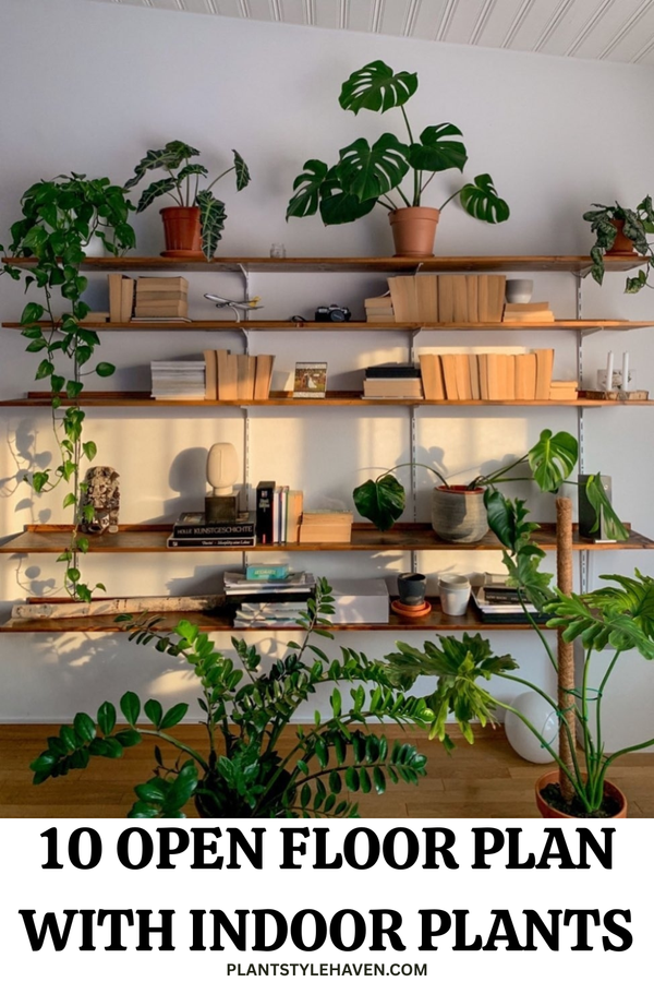 Transform Your Open Floor Plan with Indoor Plants