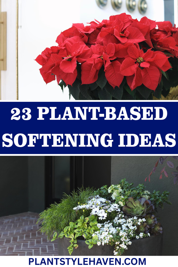 Transform Your Space: 23 Plant-Based Softening Ideas