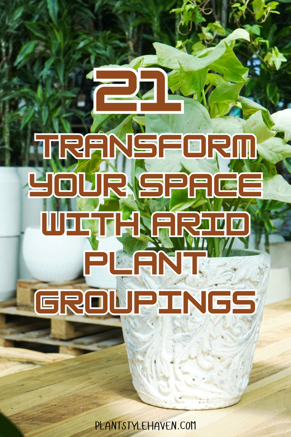 Transform Your Space with 21 Arid Plant Groupings