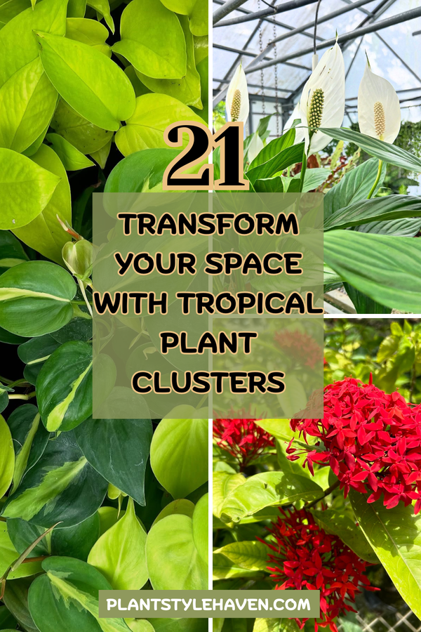 Transform Your Space with 21 Tropical Plant Clusters