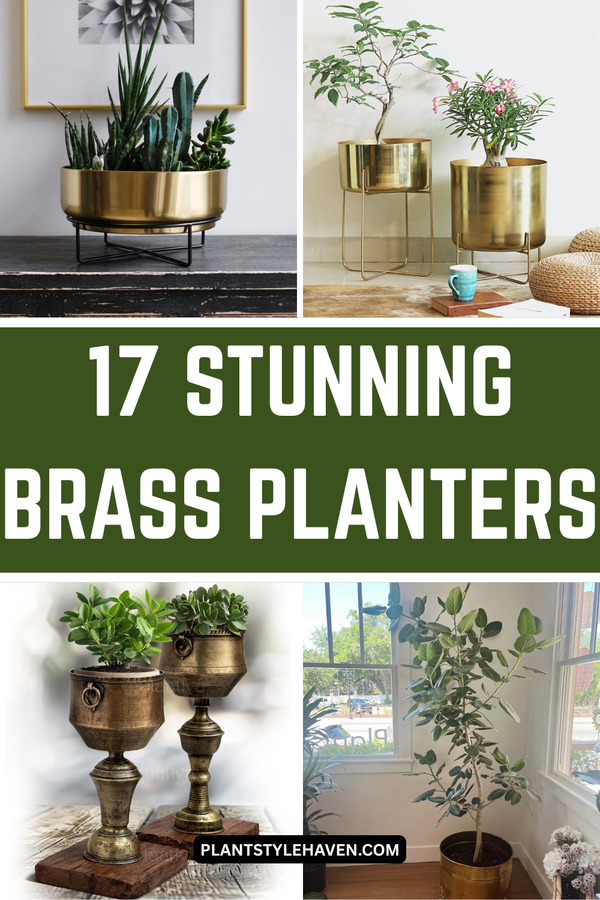 Transform Your Space with Stunning Brass Planters