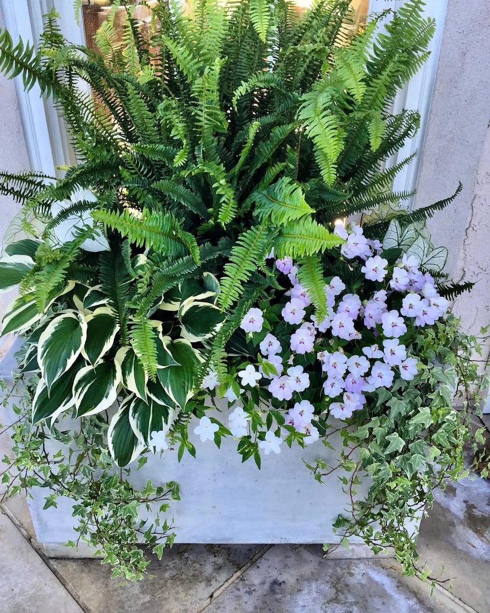 seafoam green ombre planters with ferns