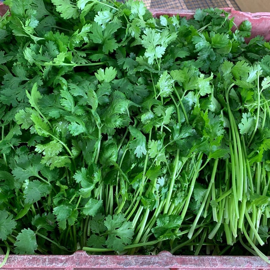 coriander leaves in a small basket