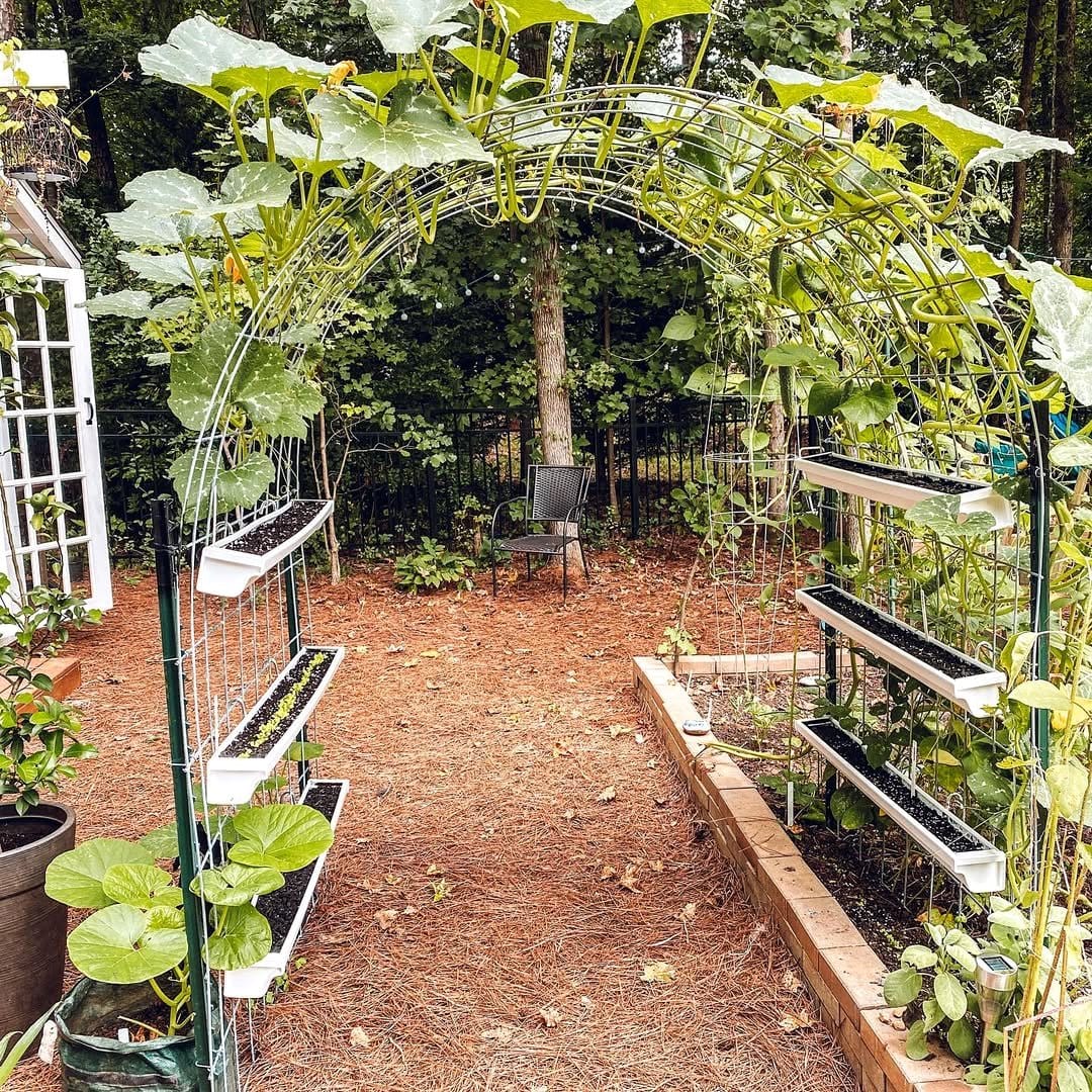 rain gutter planters with herbs