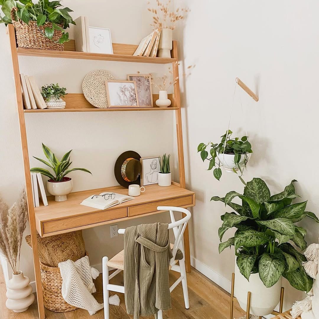 plant cuttings on ladder shelf