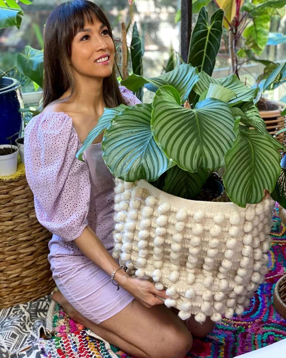 calathea plant in woven basket