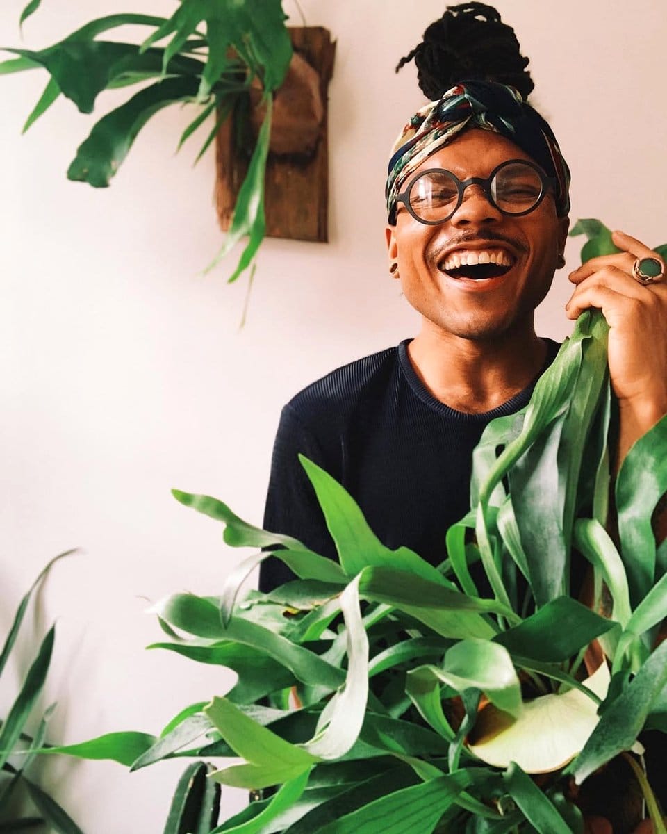 fern beside bathroom sink