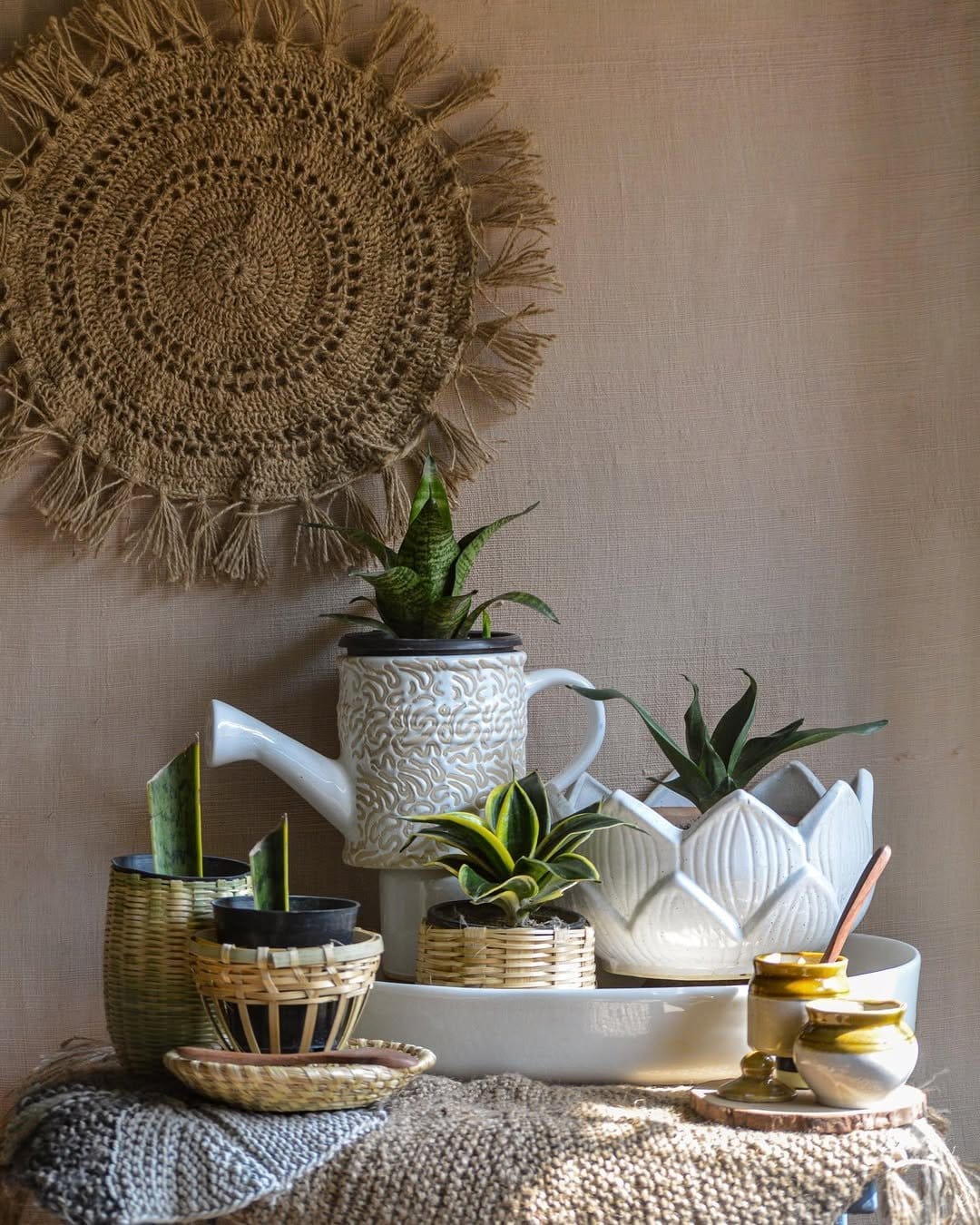 Sleek snake plant in black ceramic pot