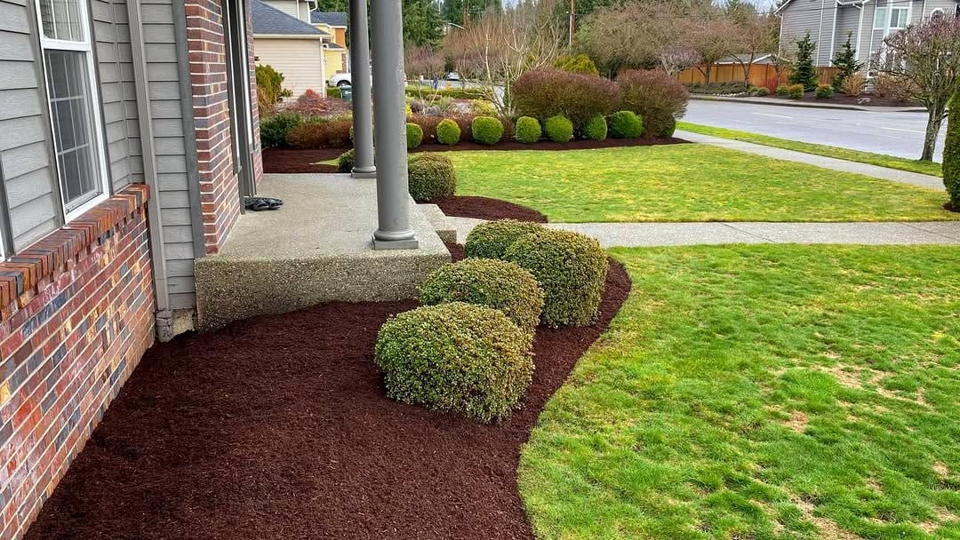 garden bed with fresh mulch