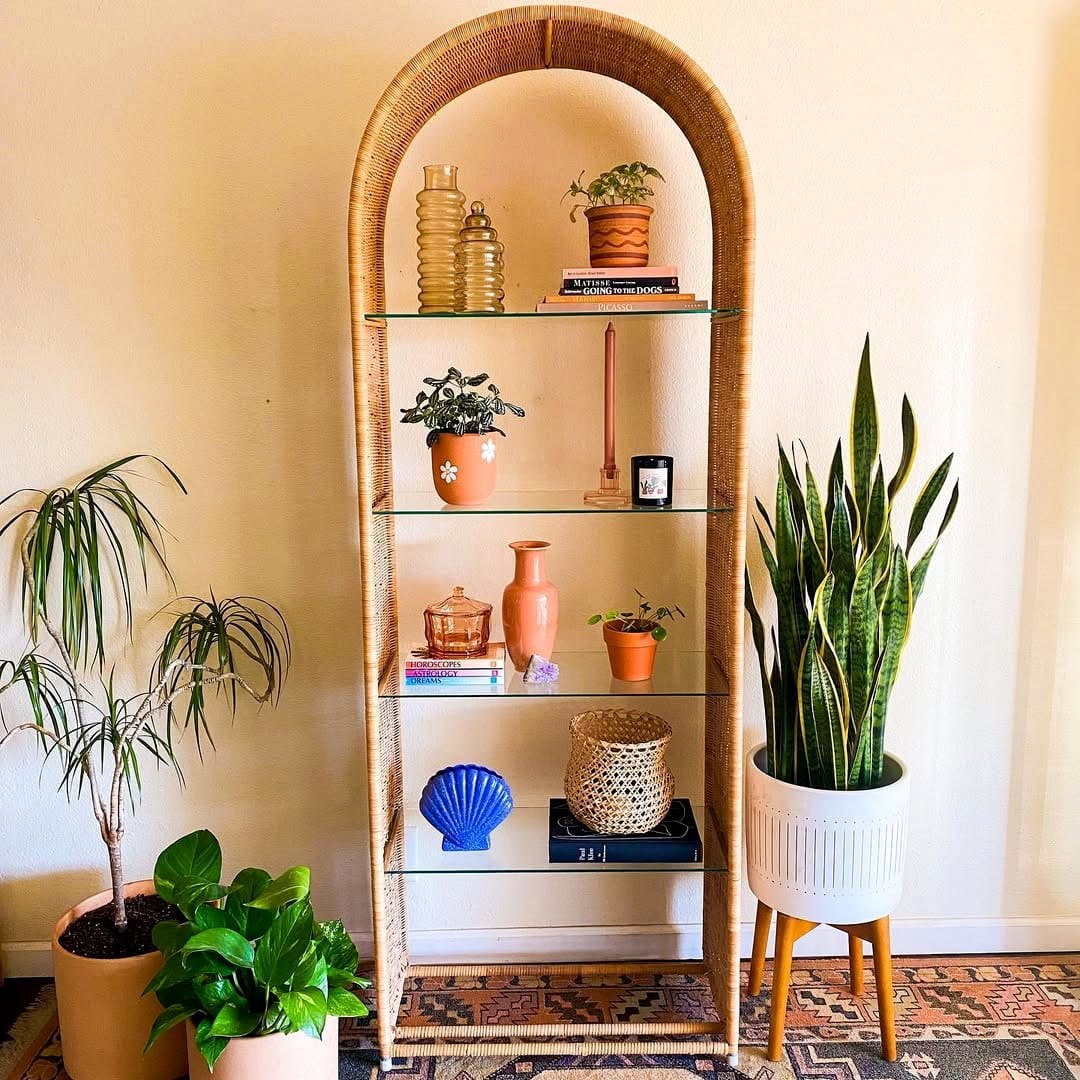 Rattan shelf with books and cozy potted plants