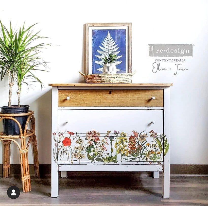 blooming orchid on a white dresser