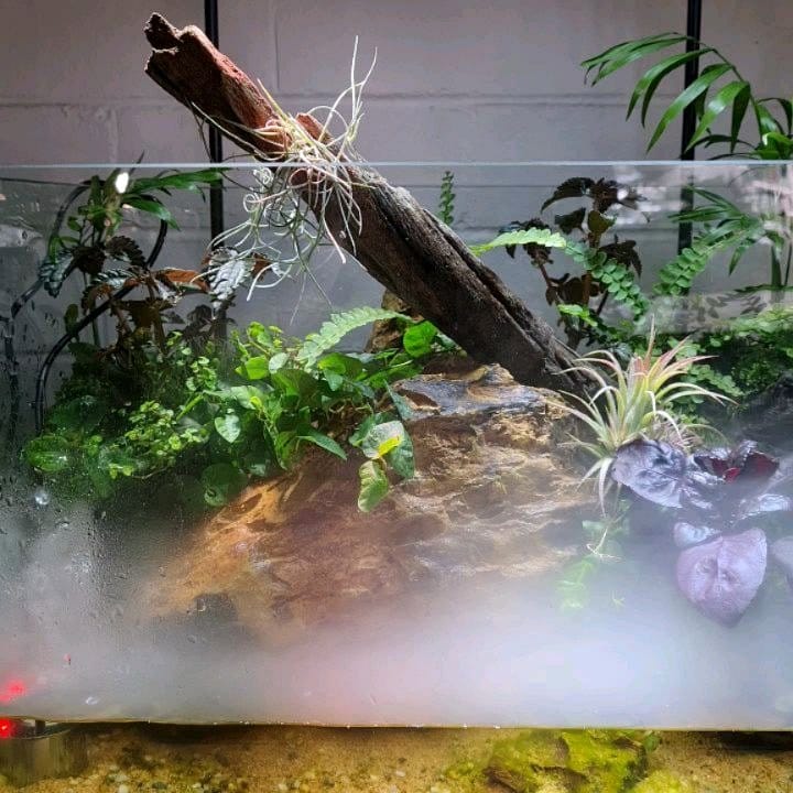 misting bottle near terrarium