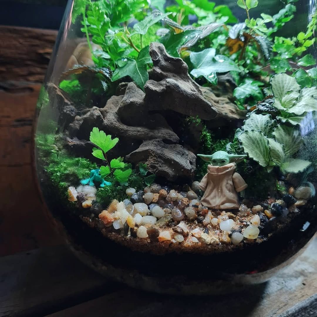LED grow light over terrarium
