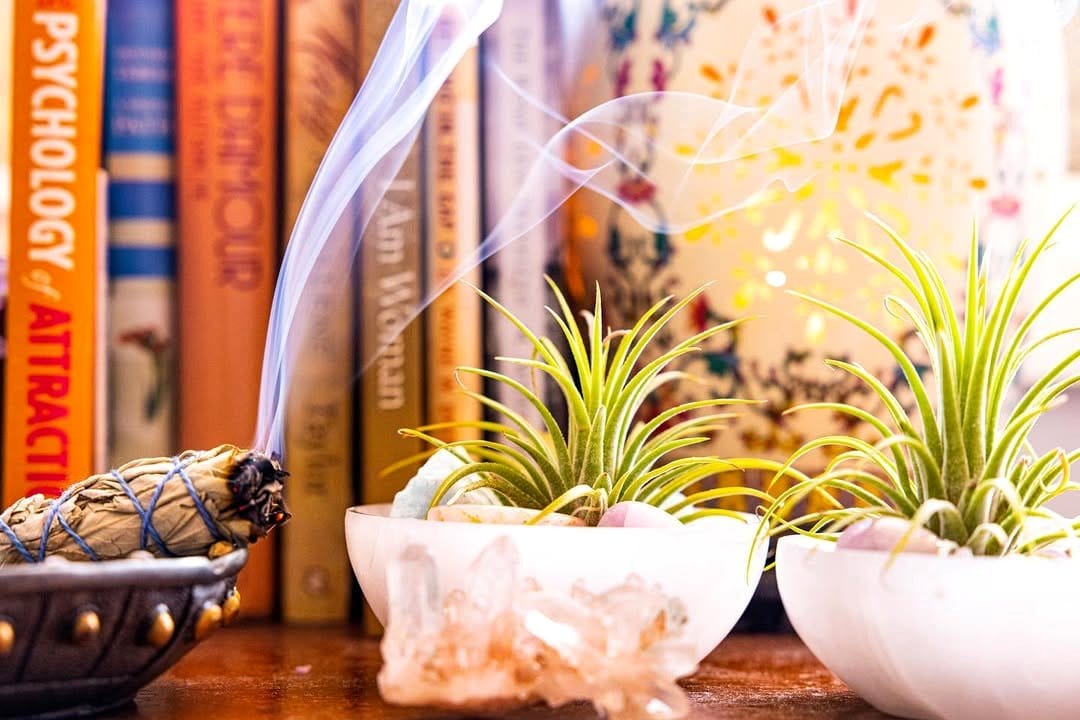 crystals with Tillandsia arrangement