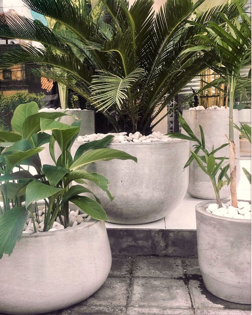 recycled concrete planter with plants