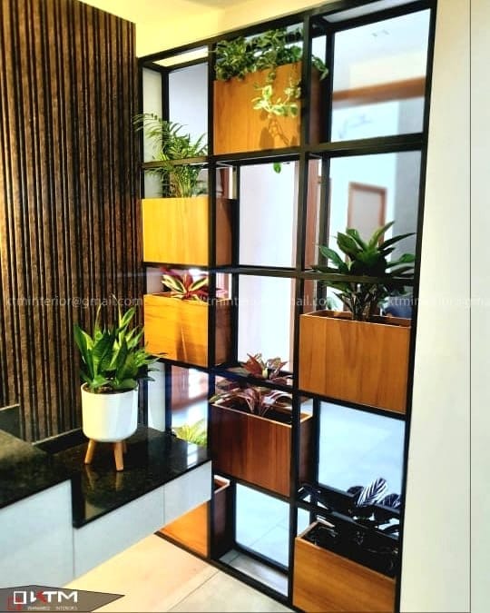 plant partition in living space