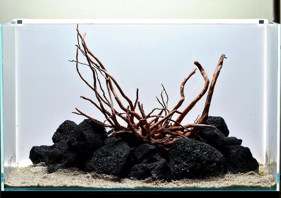 aquascape with lava rocks and plants