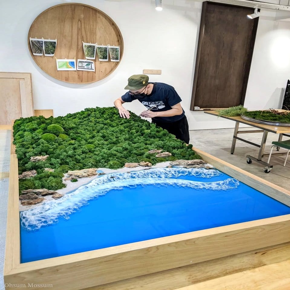 Indoor preserved moss wall installation