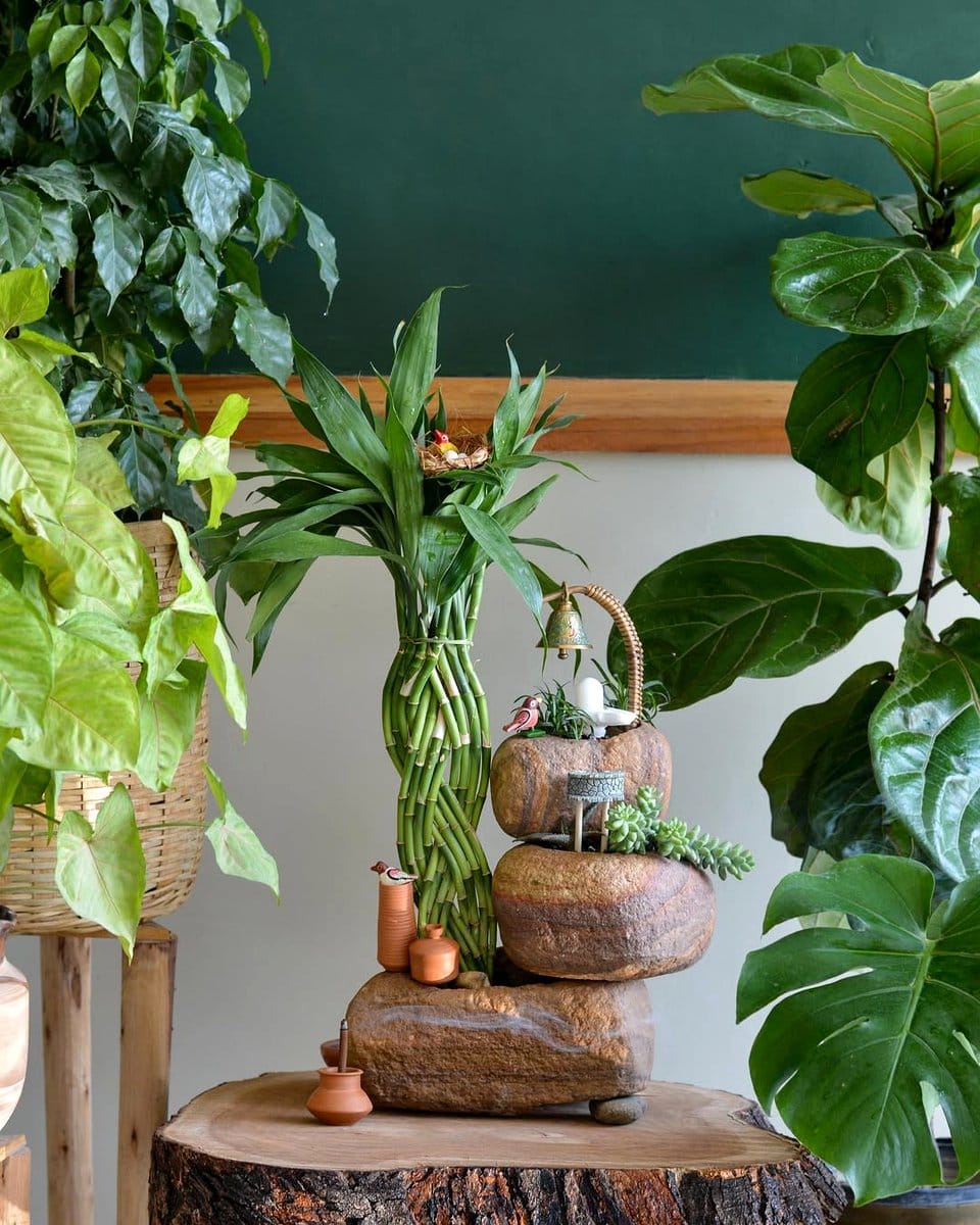 recycled bottle divider with ferns