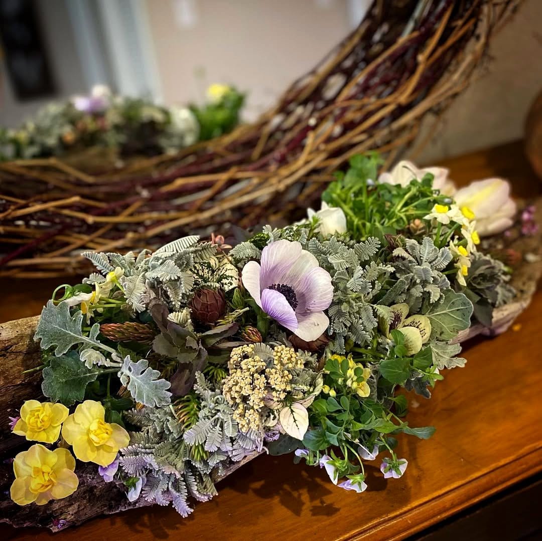 driftwood plant arrangement