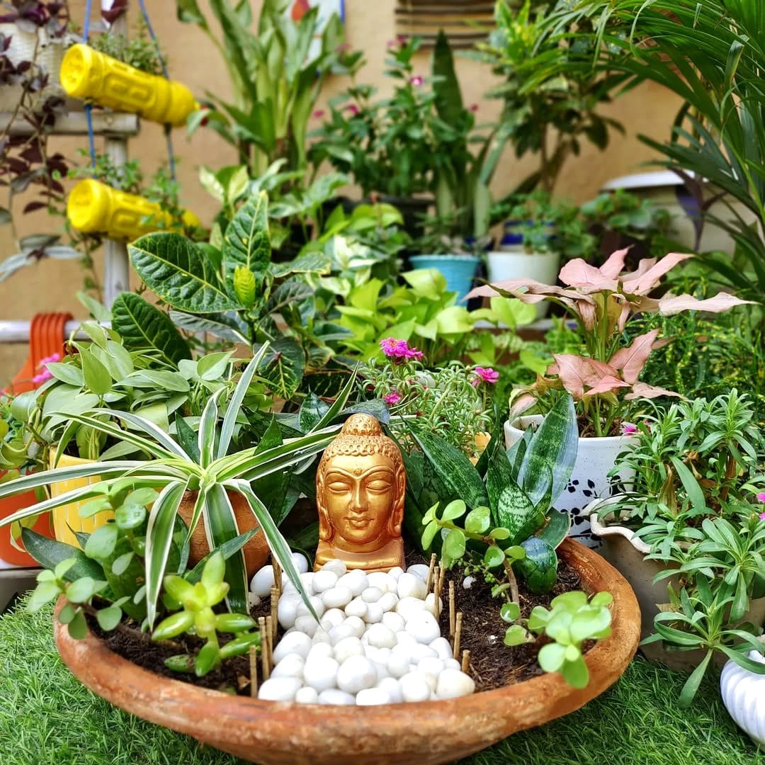 fairy garden on tray