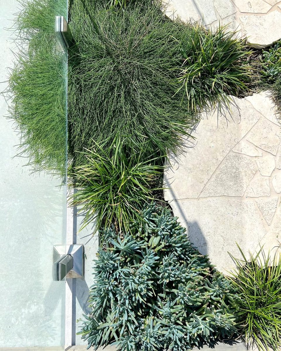 blue chalksticks in garden