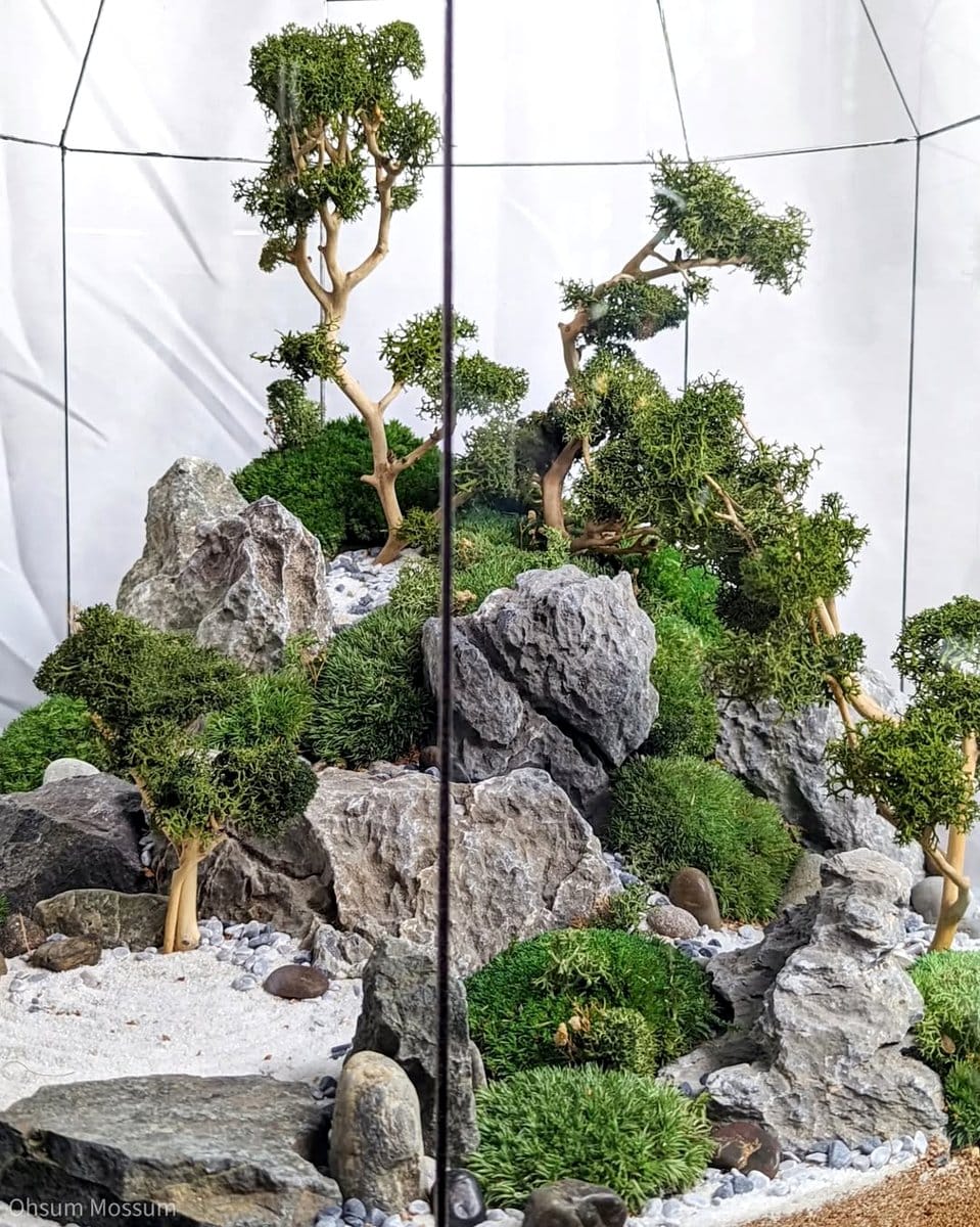 lush moss bottle garden with rocks