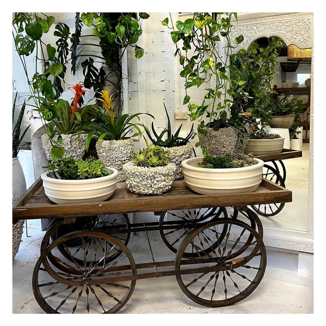 Rustic wooden plant stands